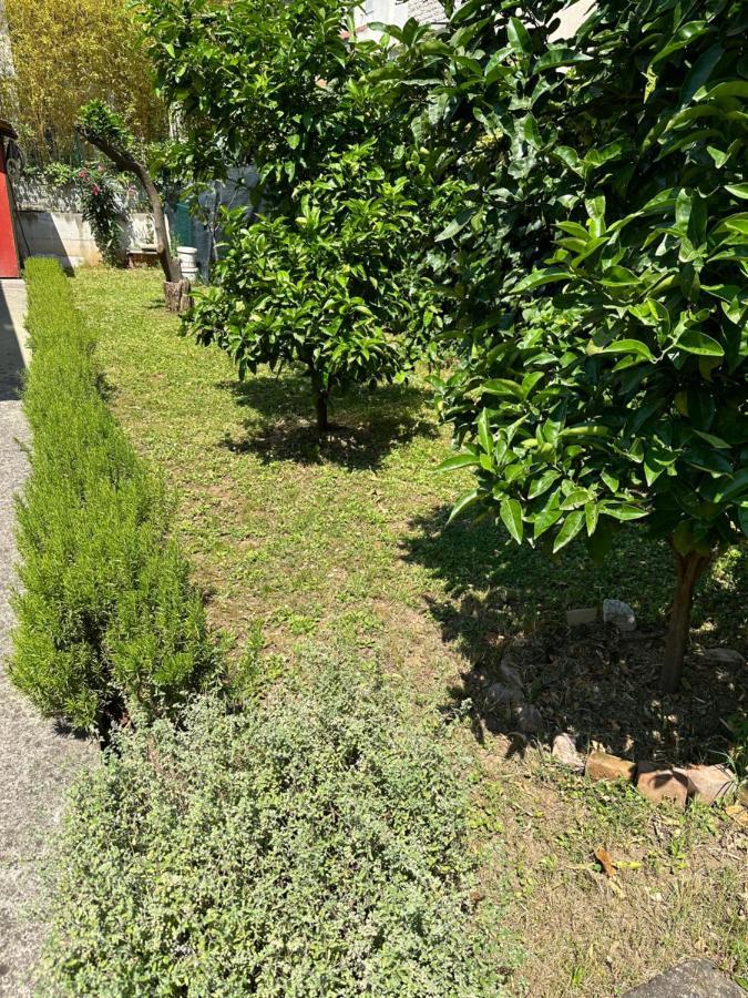 Vesna Holiday home